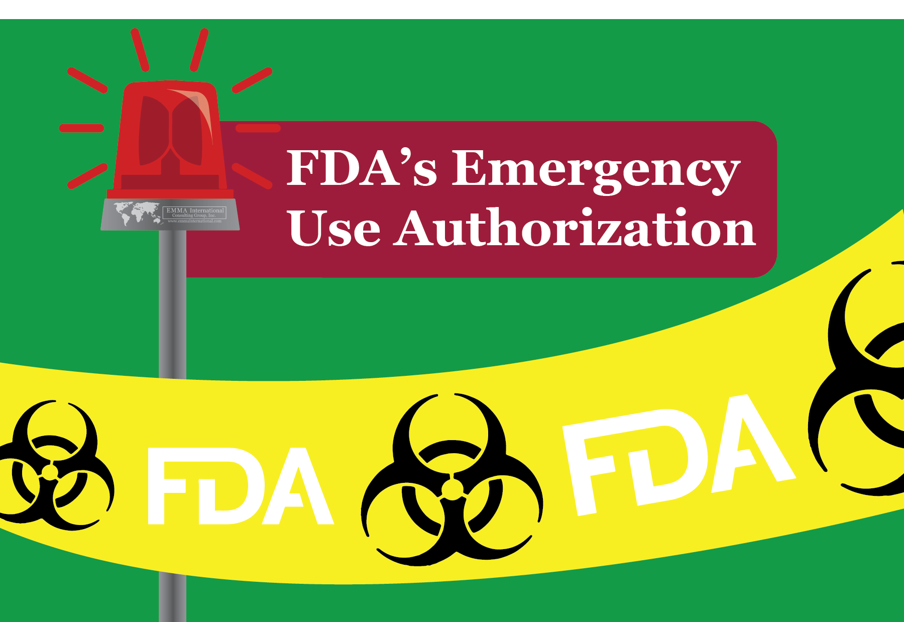 12 Emergency Use Authorization Insights From Industry Experts