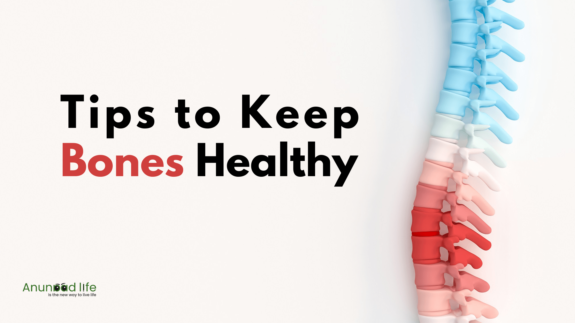 15+ Tips To Build A Strong And Healthy Bone Structure