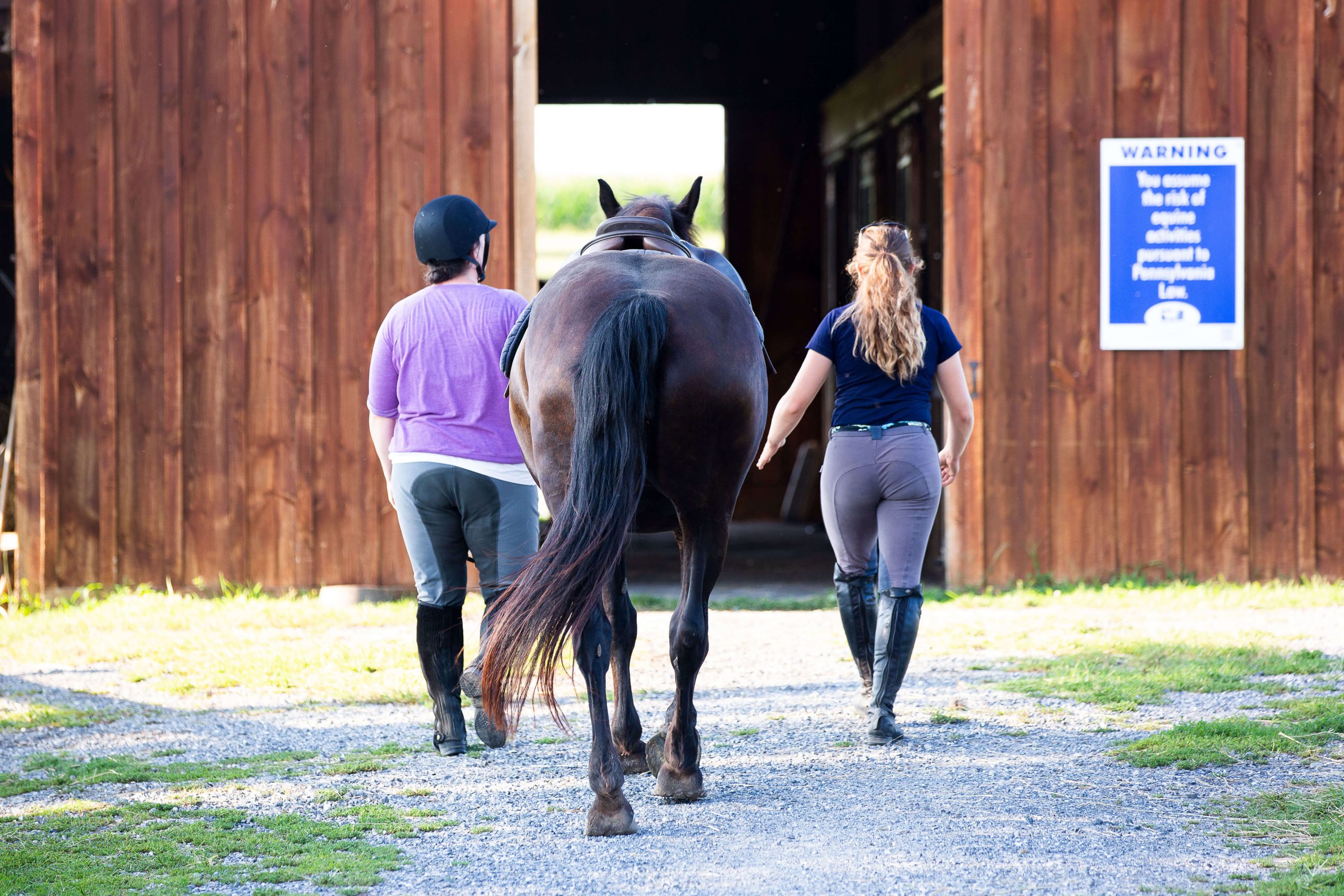 5 Reasons Why Horses Behave Differently For Different People Youtube