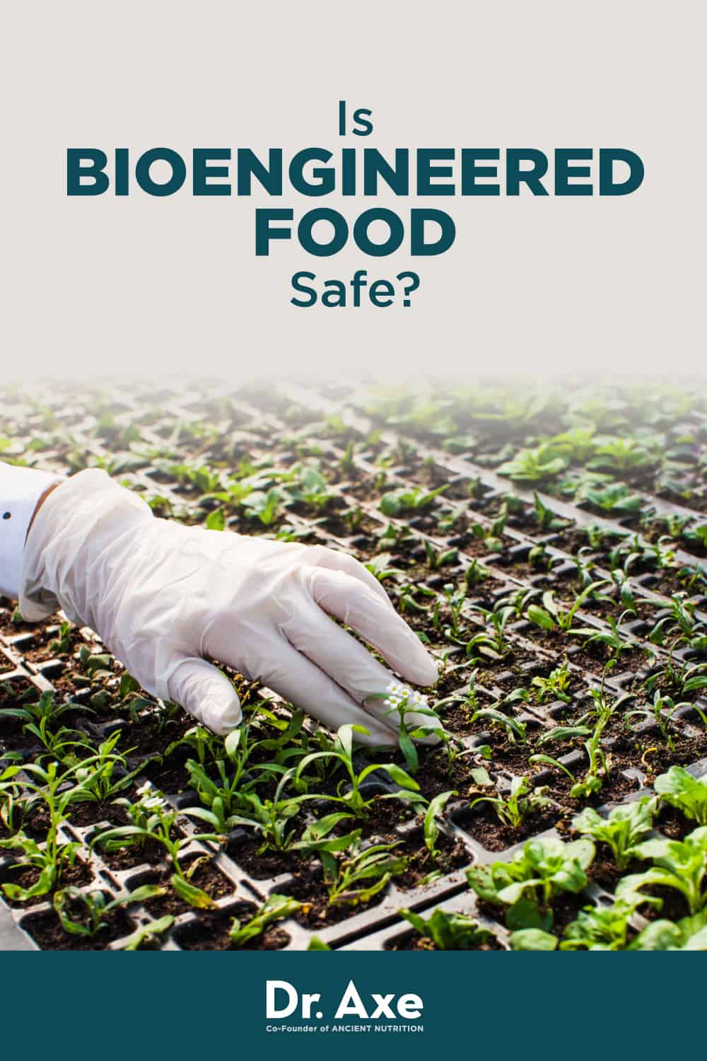 Bioengineered Food: A Comprehensive Health Guide