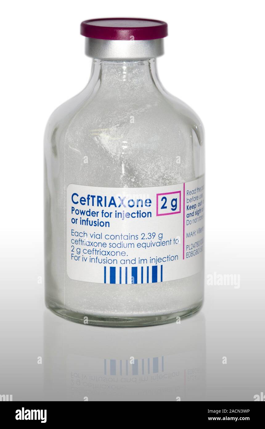 Bottle Of Powdered Ceftriaxone Rocephin A Cephalosporin Antibiotic