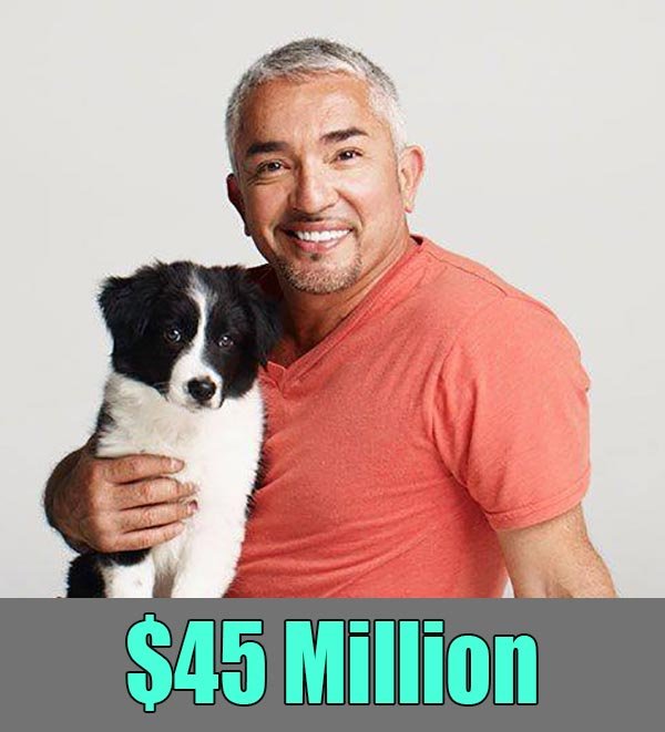 Cesar Millan Net Worth Animascorp