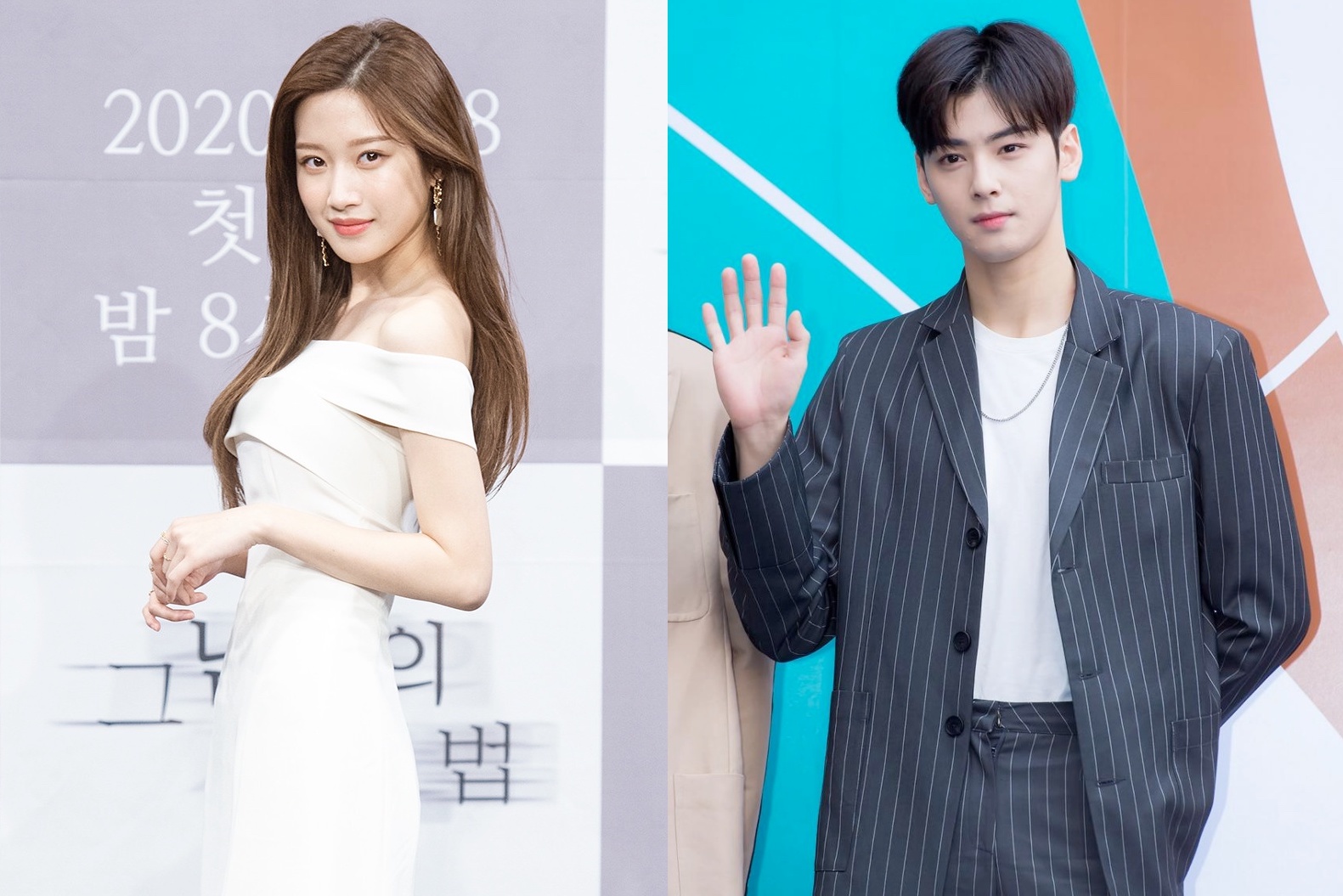 Cha Eun Woo And Moon Ga Young A Comprehensive Guide To Their Journey