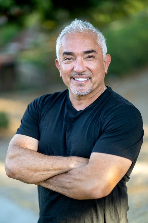 Dog Whisperer Cesar Millan Says If You Want A Better Behaved Dog Be