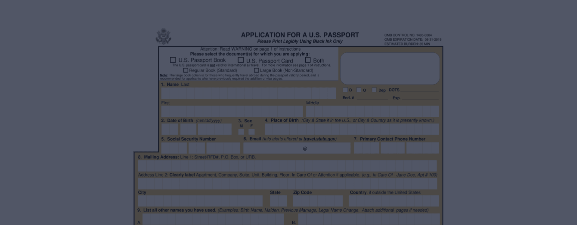 Form Ds 11 Printable