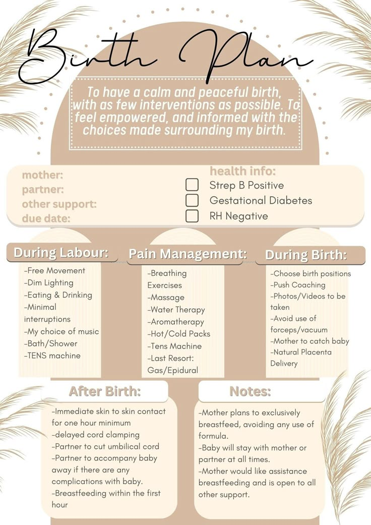 Neutral Natural Birth Plan Template Digital Download Print Ready In