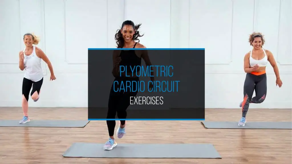 Plyometric Cardio Circuit Exercises Indoor Cardio Pro