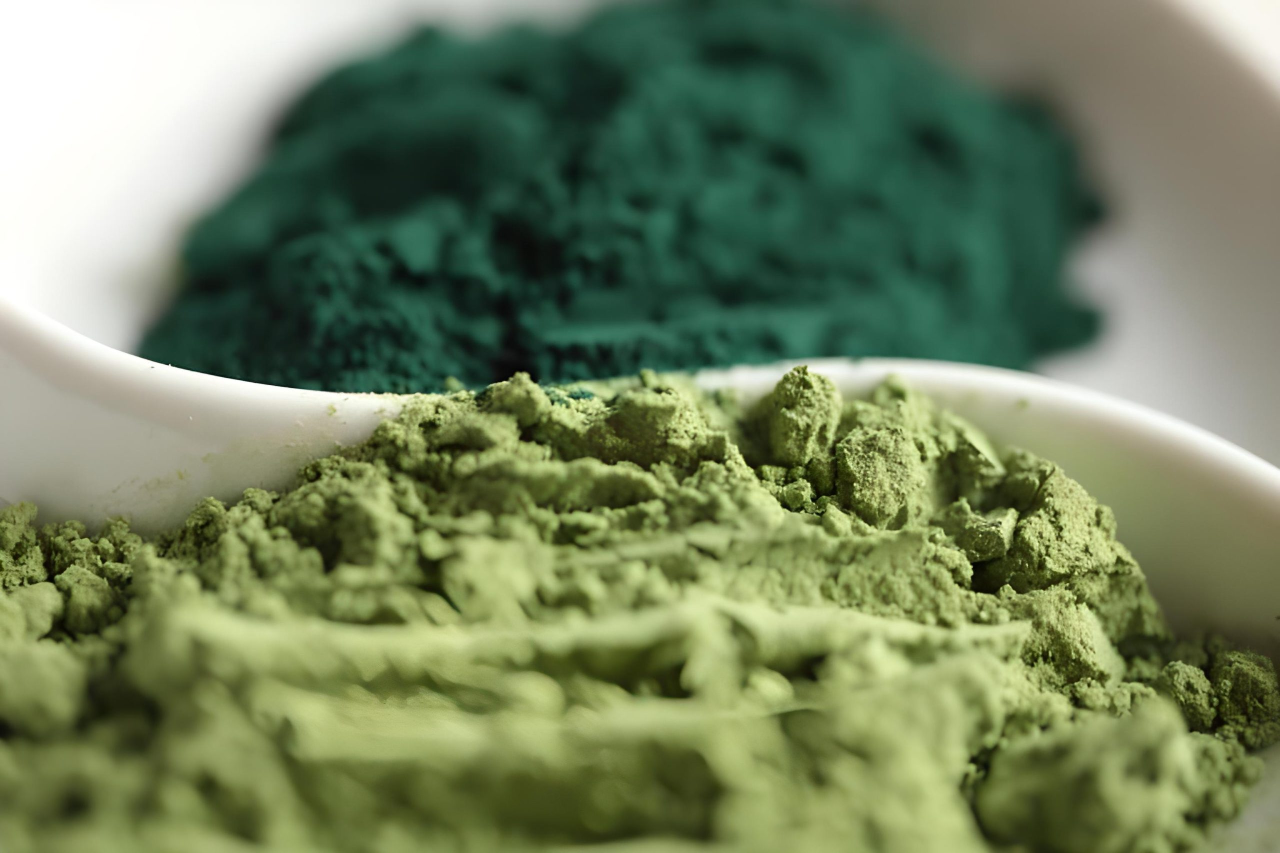 Spirulina Color Crafting Sustainable Brilliance In Natural Dyes