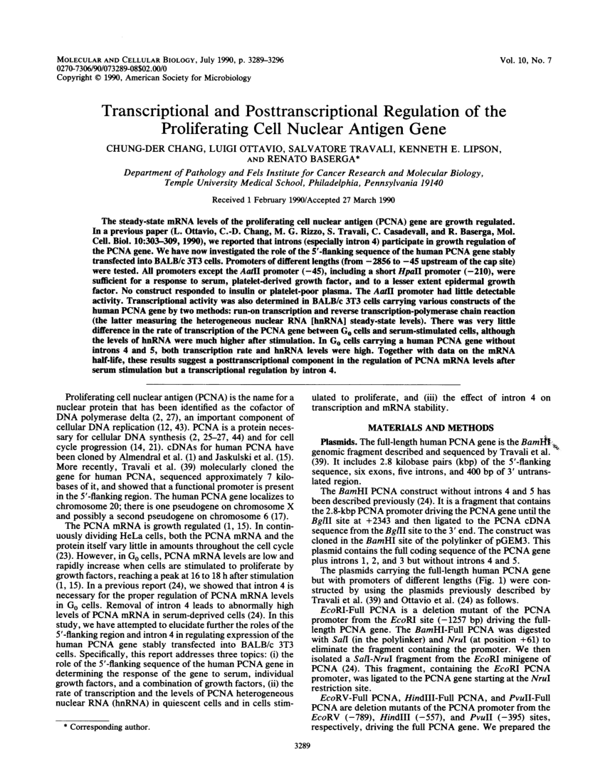 Sumoylation Controls Hu Antigen R Posttranscriptional Activity In Liver Cancer Cell Reports