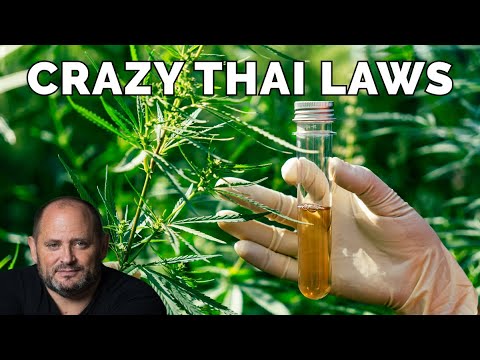 Thai Laws You Need To Know Youtube