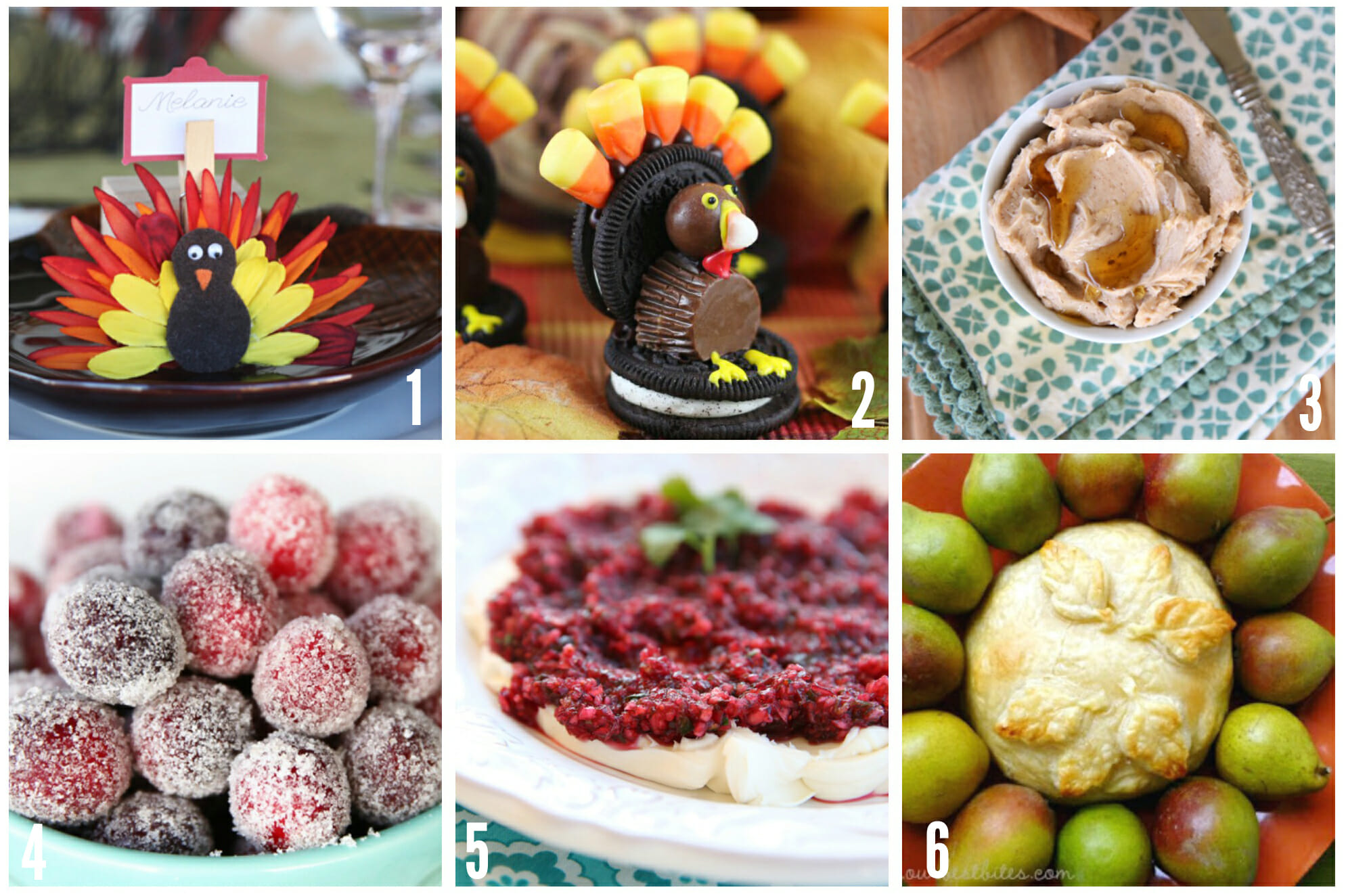 Ultimate Thanksgiving Guide Infographics Ecogreenlove