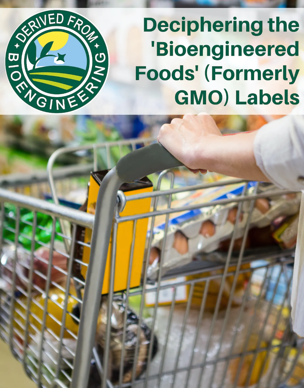 What Are The Benefits Of Bioengineered Foods? Unlocking Nutrition