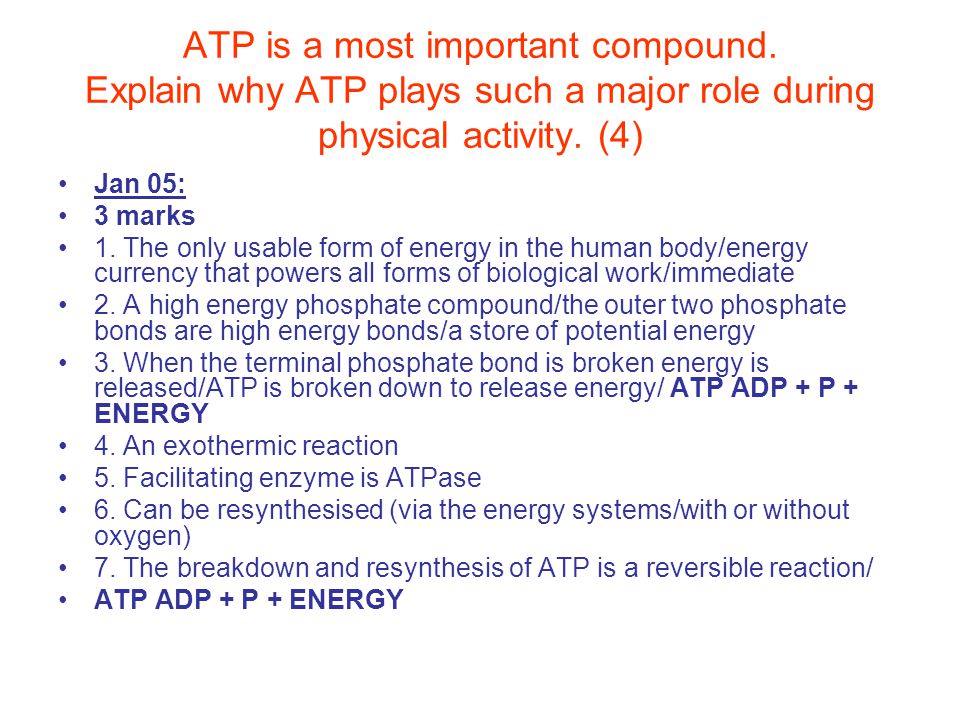 What Is Atp And Why Is Atp Important In Training