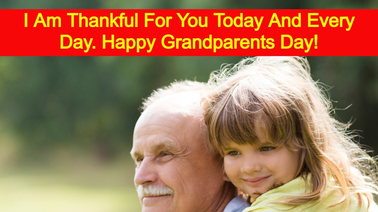 What Makes National Grandparents Day So Special? A Heartwarming Celebration