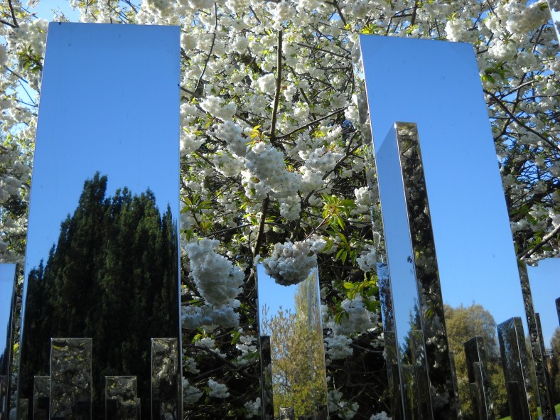 When Do Chinese Beauties Bloom? A Visual Journey