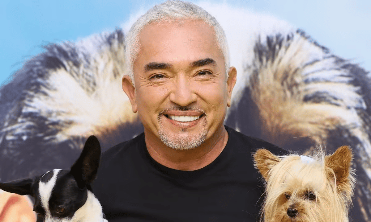 Where Is Ilusion Millan Now Remarried Net Worth Cesar Millan Net