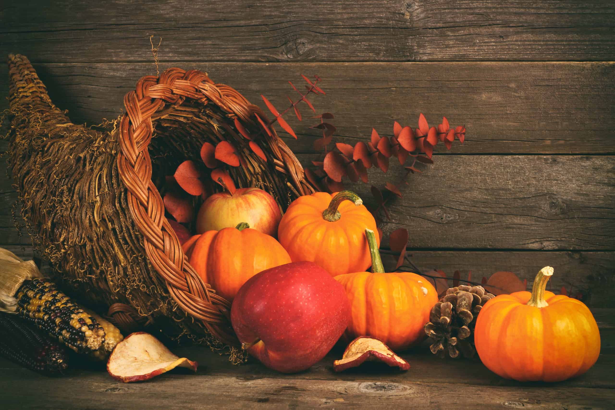 Why Celebrate Thanksgiving? Traditions & Meaning