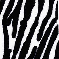 Wild World Zebra Microbikini